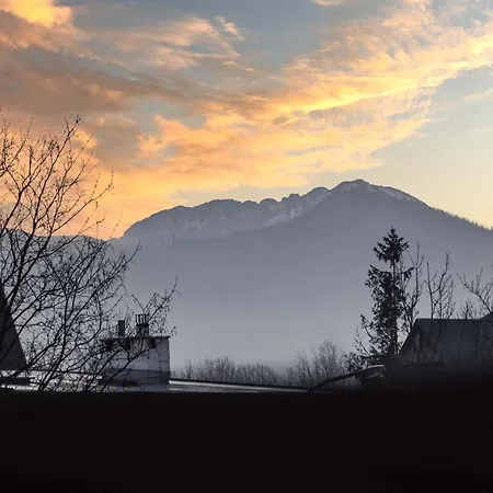 Mira Centrum アパート ザコパネ